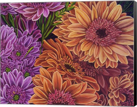 Framed Gerbera Mostly Salmon Print