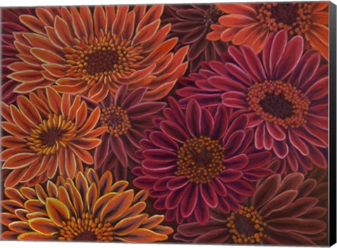 Framed Gerbera Orange Red Print