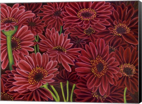Framed Gerbera Ruby Print