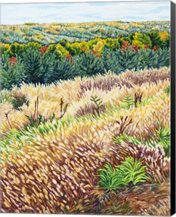 Framed NY Autumn Grasses Littletree Print