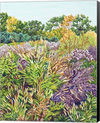 Framed NY Littletree Goldenrod Print