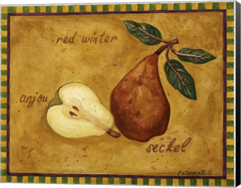 Framed Pear Red Winter Anjou Seckel Print