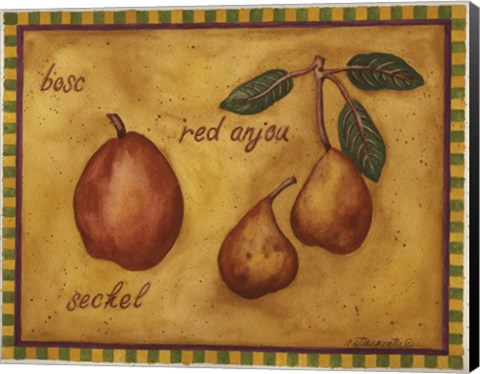 Framed Pears Bosc Red Anjou Seckel Print