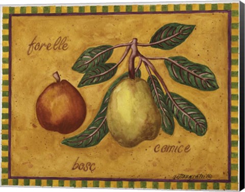 Framed Pears Forelle Bosc Comice Print