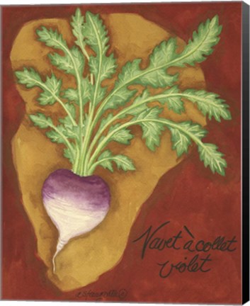 Framed Veggies On Red L Navet Print