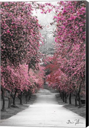 Framed Cotton Candy Walk Print