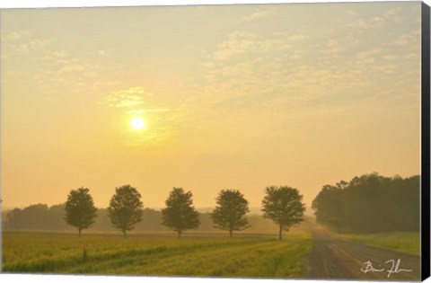 Framed Country Morning Glow Print