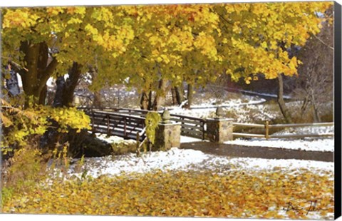 Framed Autumn Snow Print
