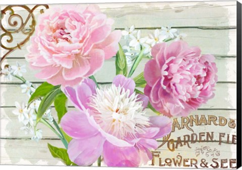 Framed Farm Seed Peonies Print