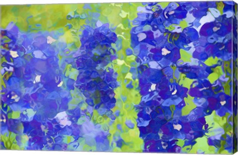 Framed Fluid Flowers V Print