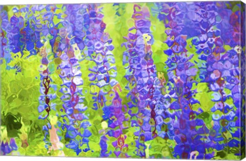 Framed Fluid Flowers VIII Print