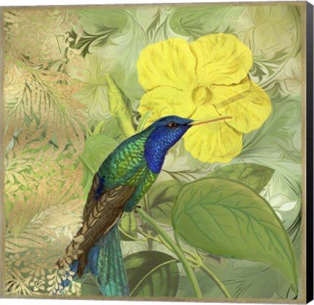 Framed Hummingbird Green Blue Print