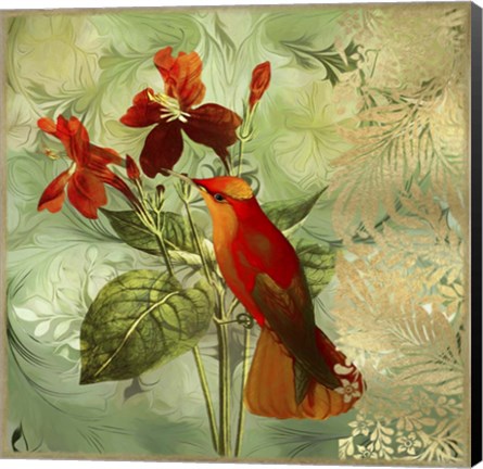 Framed Hummingbird Red Print