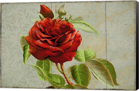 Framed Red Rose Painted on Wooden Panel Print