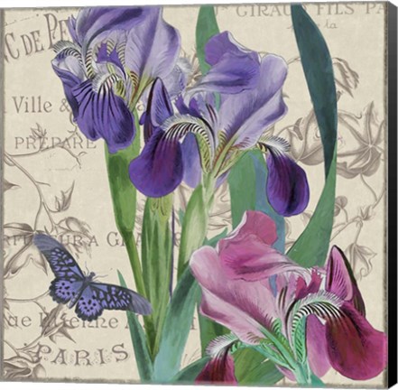 Framed Vintage Flowers III Print