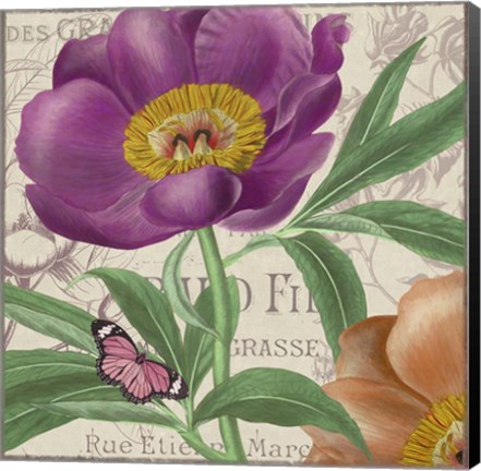 Framed Vintage Flowers IV Print