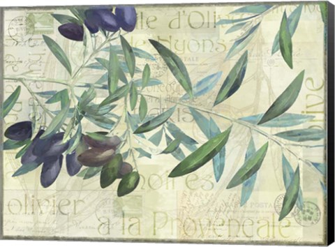 Framed Olives de Nyons Print