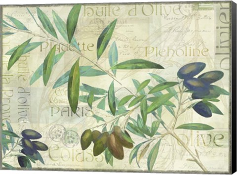 Framed Olives Picholines Print