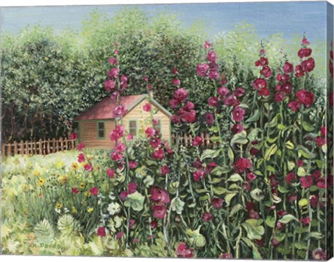 Framed Sunlight on Hollyhocks Print