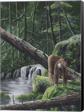 Framed Deep Woods Fisherman Print