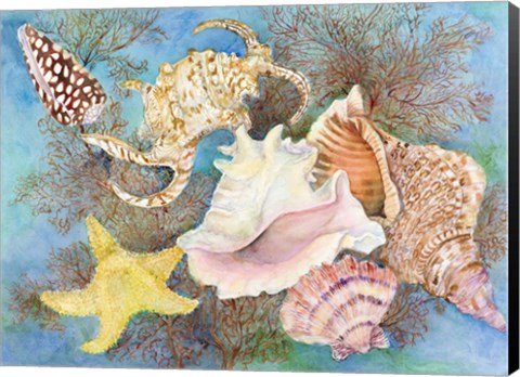 Framed Gifts from the Sea Print