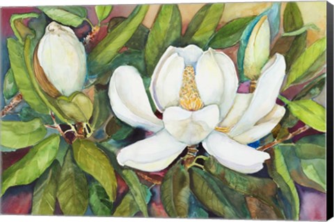 Framed Magnolias in their Prime Print