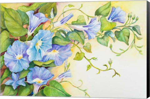 Framed Trailing Vine Morning-Glories Print