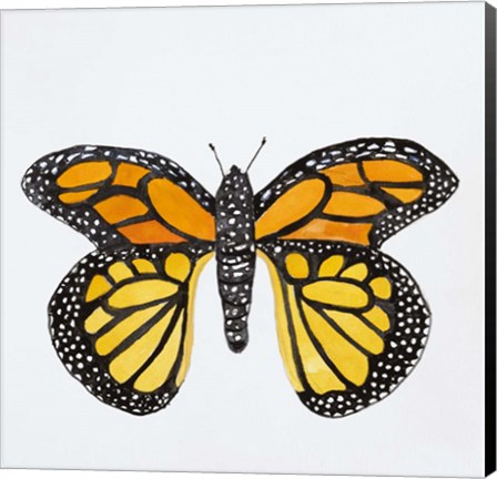 Framed Butterfly Collection Monarch Print