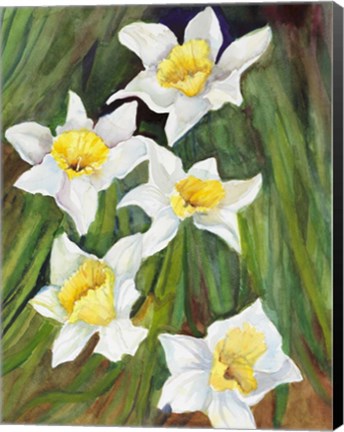 Framed Daffodils with Nodding Heads Print