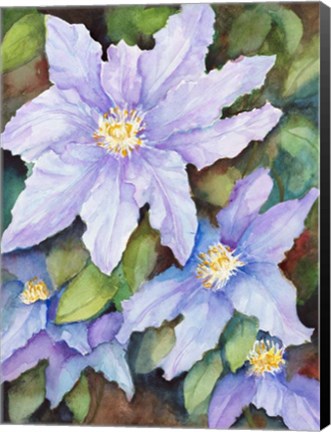 Framed Lavender Cosmos Print