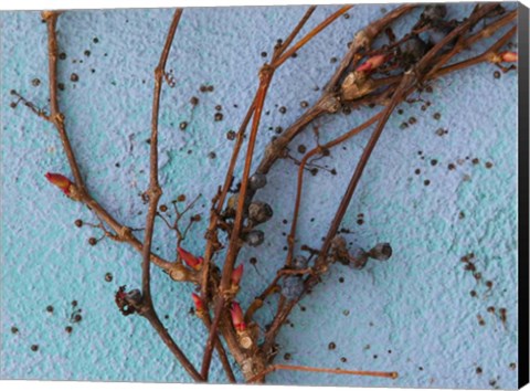 Framed Twig Print