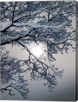 Framed Winter 1 Print