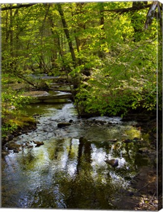 Framed Landscape 38 Print