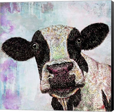 Framed Cow Color Print