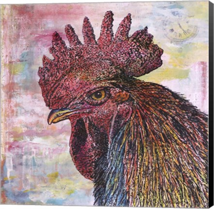 Framed Rooster Color Print