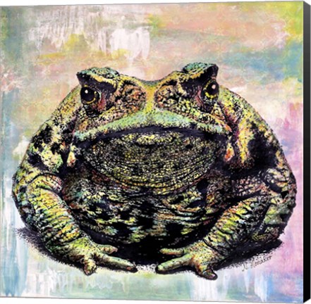 Framed Toad Color Print