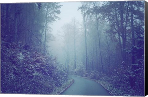 Framed Blue Woods Misty Way Print