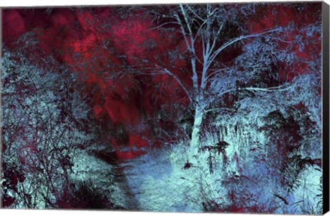 Framed Moonlight Forest Print