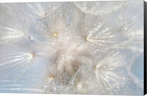Framed Ethereal Lightness Print