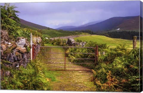 Framed Gates on the Road at Wicklow Hills Ireland Print