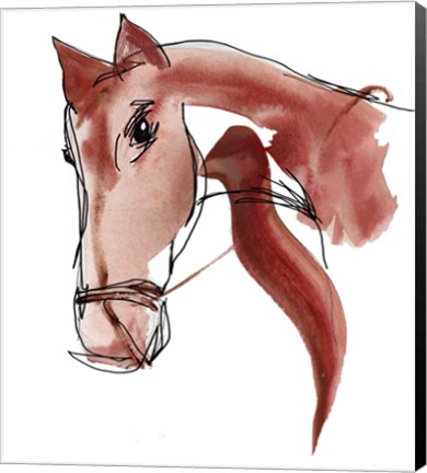 Framed Horse Print