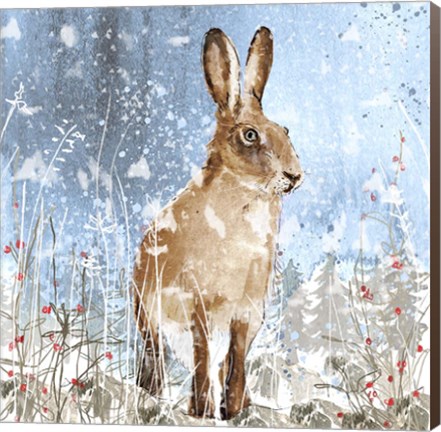 Framed Winter Hare Print