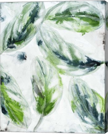 Framed leaf scatter 2 Print