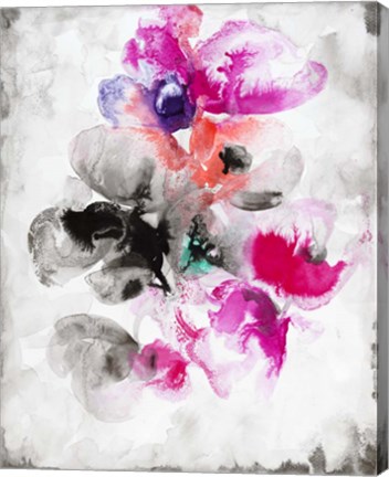 Framed Pansy Plural Print