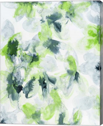 Framed Photosynthesis 1 Print