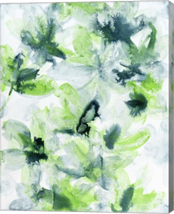 Framed Photosynthesis 2 Print