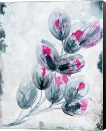 Framed Fuschia Splash1 Print