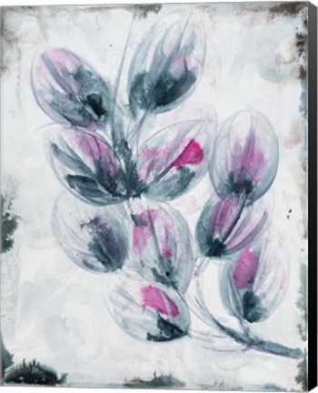 Framed Fuschia Splash 2 Print