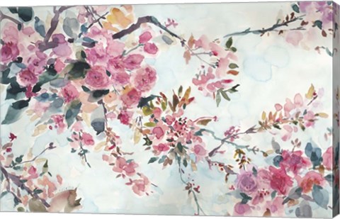 Framed Cherry Blossoms Morning Print