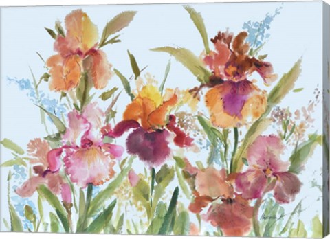 Framed Loose Irises Print